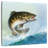 Brampt Bass-109209452