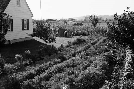 « homestead project », reproduction de photo, H 66 po x l 44 po