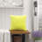 Supersoft Velvet Square Throw Pillow Cover-1411981443