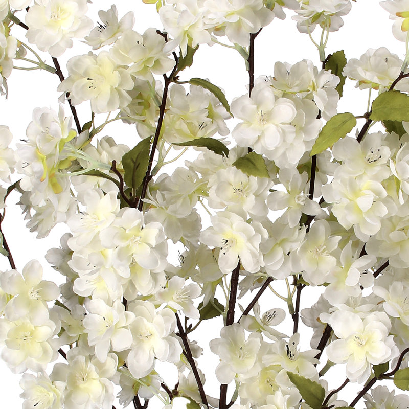 Arrangement de fleurs de cerisier, Blanc