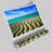 Sand Patterned Ocean Beach - No Frame Print-48014885