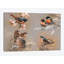«Bird Composition» par Jan Weenink, impression sur toile tendue-29480024-73648190-73648194
