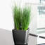 Quadro Premium Pot Planter-16493067-16493064