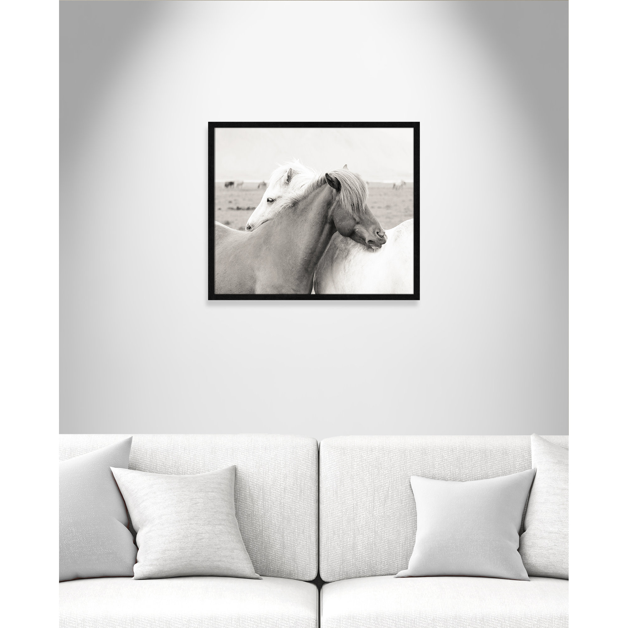 Icelandic Meadow Horses by Danita Delimont - Picture Frame Photograph on Paper, Black Wood Grain Framed