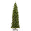 Épinette effilée North Valley Spruce-842866554