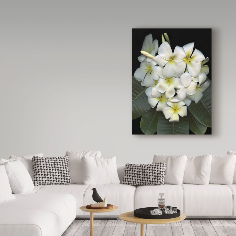 «Plumeria» par Dosta, impression sur toile tendue, H 19 po x l 14 po x P 2 po