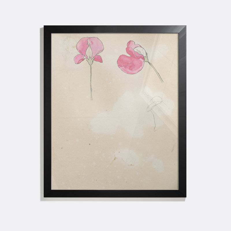 Lathyrus Print by Theo Nieuwenhuis