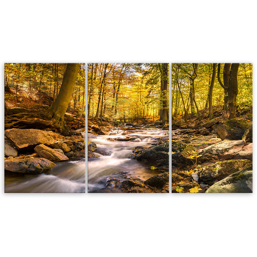 Leinwandbild Autumn Forest Mountain Stream