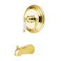 Polished Brass