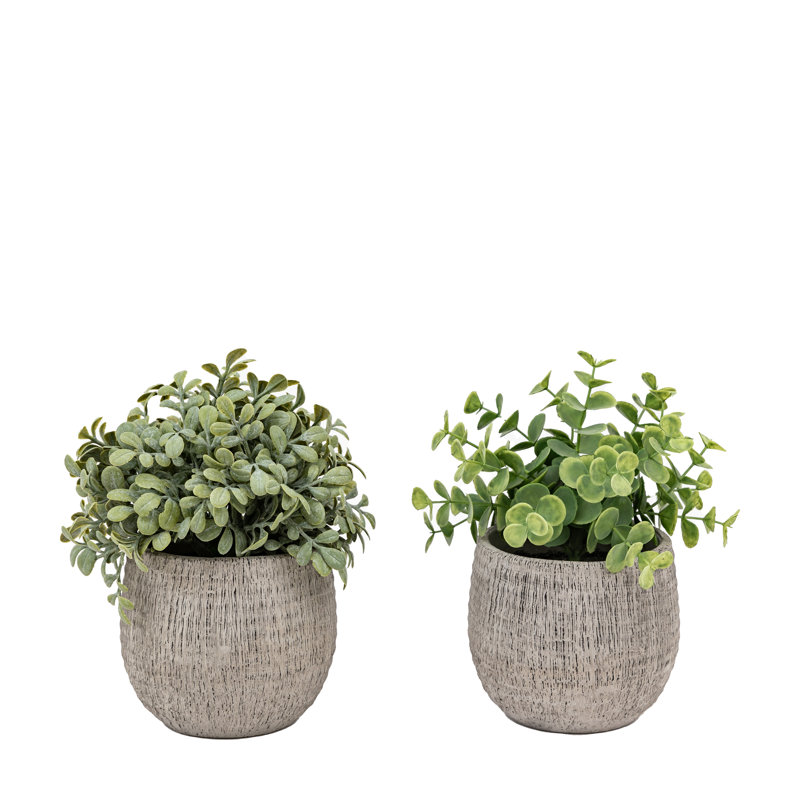 Potted Plant Ceramic Scratch Pots Sage