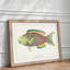 Tropical Fish by Henry Baldwin - Framed Print-55615270-55615274
