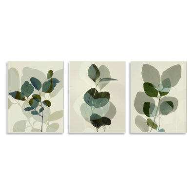 " Modern Forest Plant Photography Overlapping Foliage Shadows " 3 - Pieces
