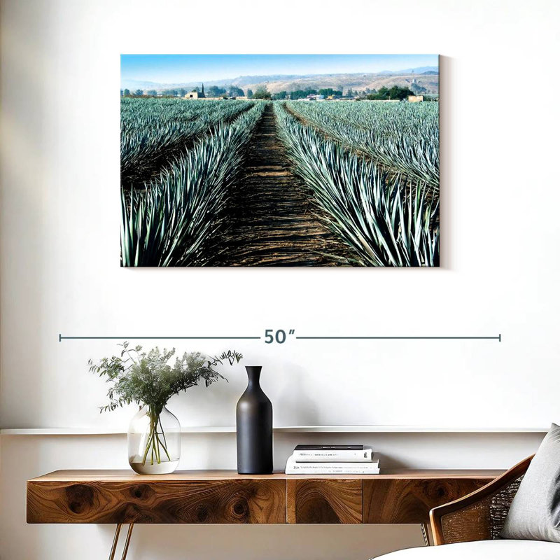 Agave Alvord Farm, H 24 po x l 36 po