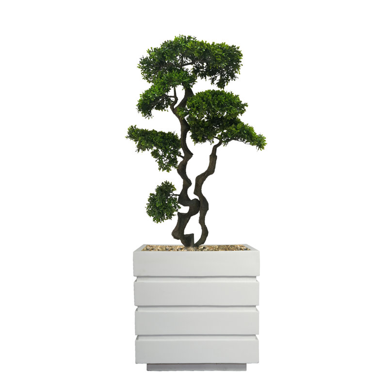 Bonsaï artificiel en pot 37 po Panama, Blanc