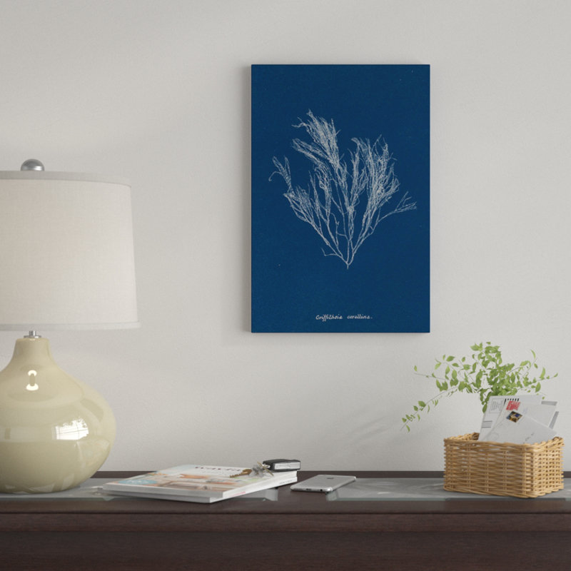 « délicat corail iii », reproduction d’impression sur toile, H 40 po x l 26 po x P 1,5 po, Toile tendue, Pas de tapis