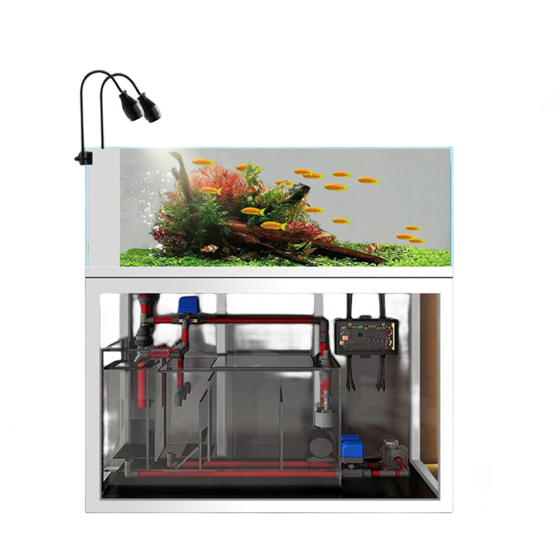 White Minimalist Rectangular Eco Aquarium Tank