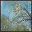 Spring Blossoms II Painting by William Mangum-73654991-73654995