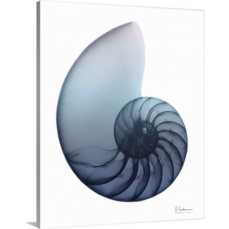 « Lavender Snail 4 » par Albert Koetsier, reproduction d’art sur toile, Toile tendue, H 45 po x l 36 po x P 1,25 po