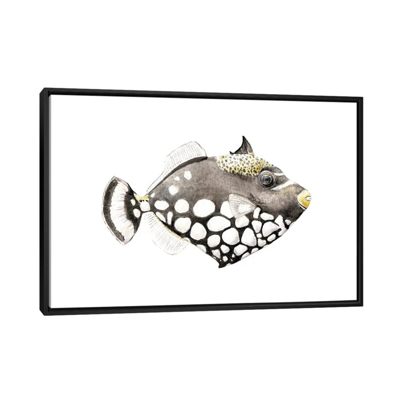 « tropical matin triggerfish », impression sur toile tendue, H 18 po x l 26 po x P 1,5 po, Toile avec cadre noir
