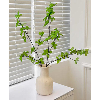Zacharie 6,69 plante