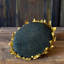 Sunflower Head