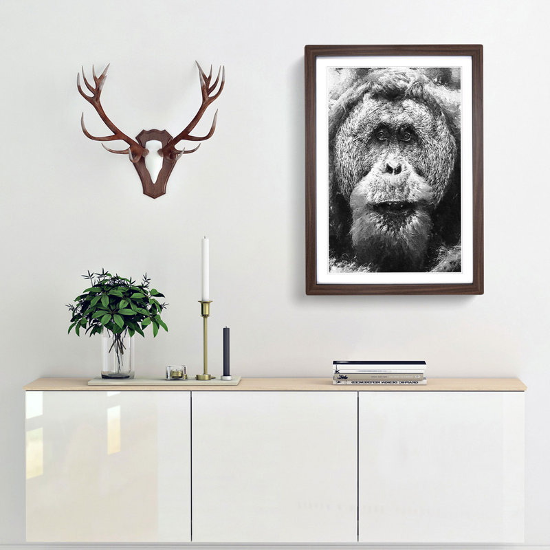 Orangutan - Picture Frame Graphic Art Print, Walnut Framed, 87cm H x 62cm W x 2cm D