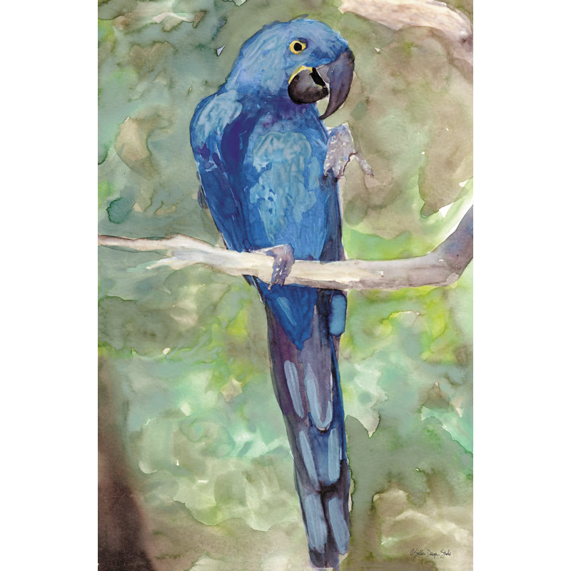 «Blue Parrot» par Stellar Design Studio - impression, H 18 po x l 12 po, Toile tendue