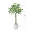 Adcock Artificial Ficus Tree with Round White Planter, Pre Potted Faux Money Tree for Home Decor-298643299