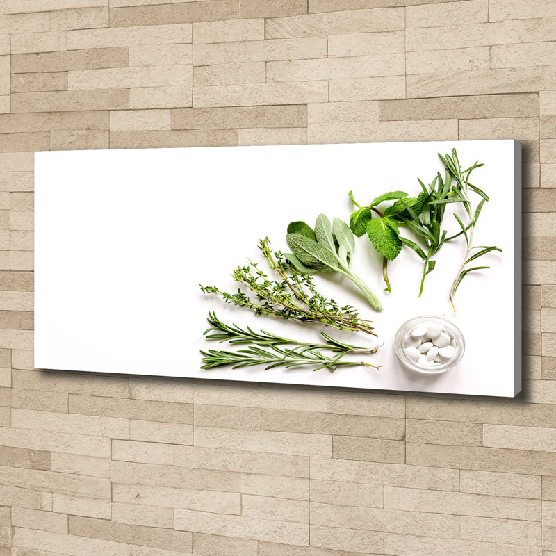 Herbs - Wrapped Canvas Print