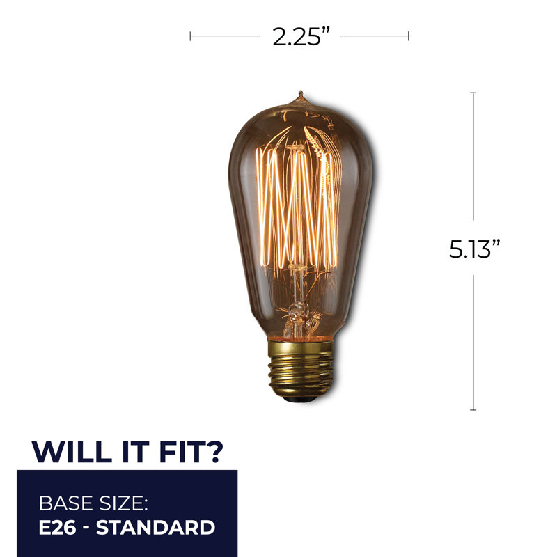 Ampoule incandescente à intensité variable 60 W ST18 blanc chaud E26 / culot moyen (standard)