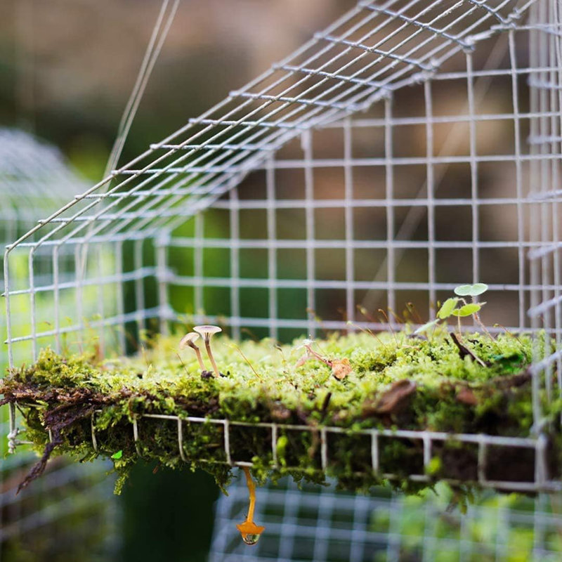 Galvanized Metal Chicken Wire Mesh for Garden and Security, 3' x 5'