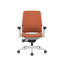 Steelcase Amia Ergonomic Task Chair-323515492-323515497-334359741