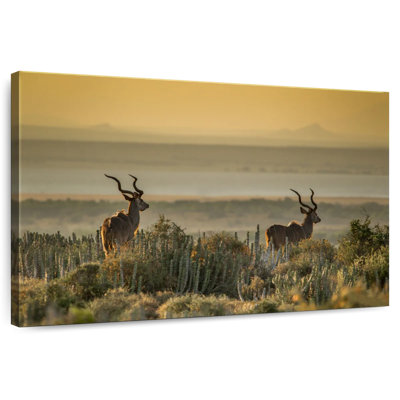 Crowle Kudu Bulls