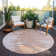 Rectangle Emblyn Indoor/Outdoor Area Rug with Non-Slip Backing