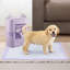 Disposable Fabric Accessory Set