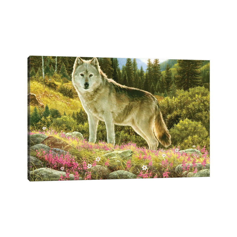 Summer Wolf by Greg & Company - Wrapped Canvas Print, 20.32 cm H x 30.48 cm W