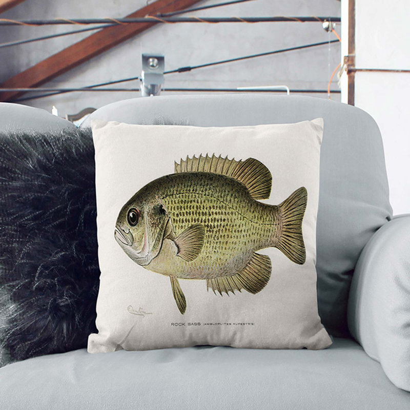 Square Cushion, Black, 55cm H x 55cm W x 20cm D