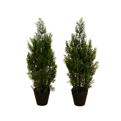 Artificial Cedar Pine Tree UV Resistant (Indoor/Outdoor) - Set of 2
