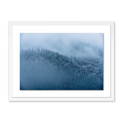 Winter Trees II Print by Michael Schauer