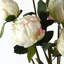 Plastic, Silk Artificial Arrangement-88685020