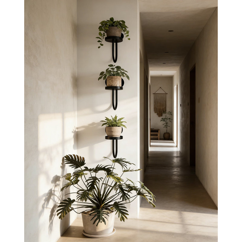 Porte-plante mural pour plantes d'intérieur