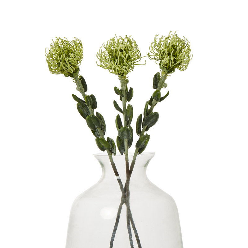 Pincushion Protea Spray, Green