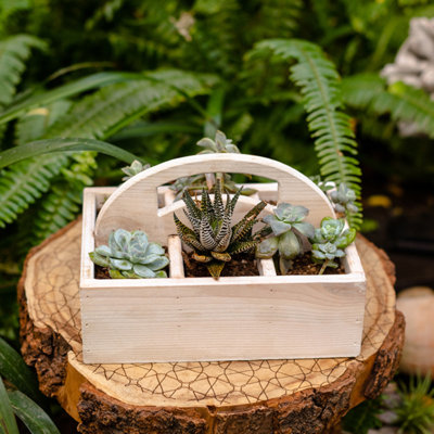 Wood Desk Organizer