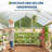 8 x 10/12FT Polycarbonate Walk-in Greenhouse with Roof Vent, Aluminum Frame Large Garden Greenhouse for Outdoors-121768552-121768554