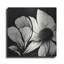 «Flowers Black White 30» par Ray Heere-741728454