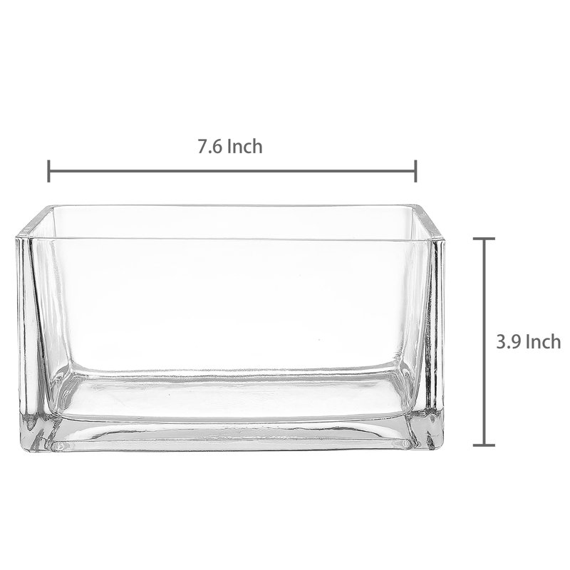 Pot de fleurs d'intérieur en verre
