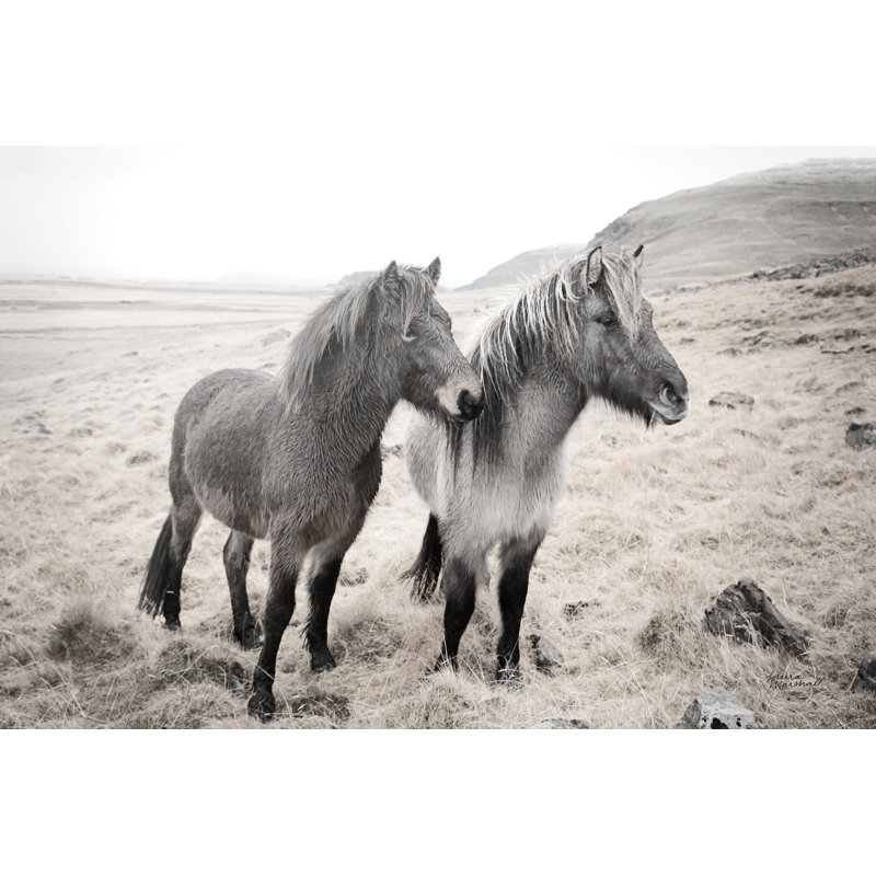 Bjarni And Imir I BW by Laura Marshall - Wrapped Canvas Print, 30cm H x 46cm W