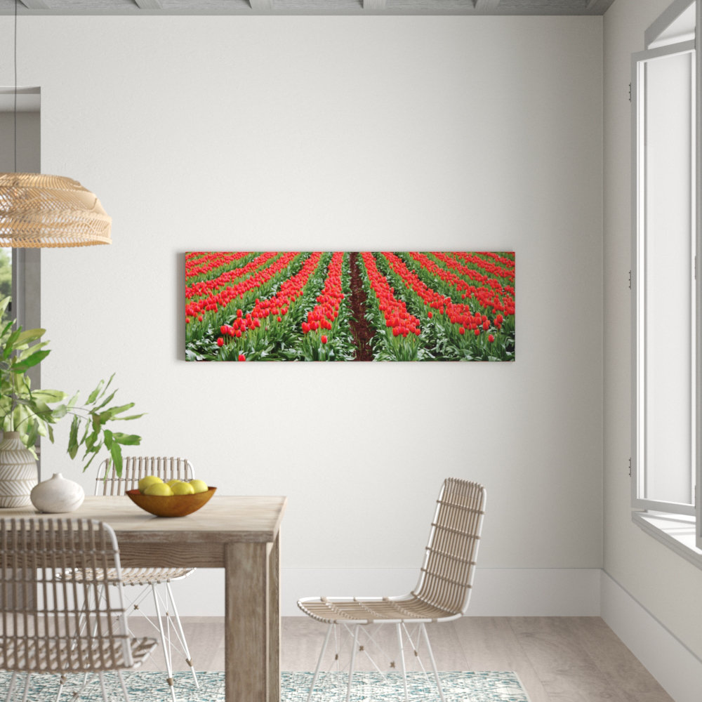 Spring Has Sprung by Andrew Brown Photographic Print Wrapped on Canvas in Red/Green