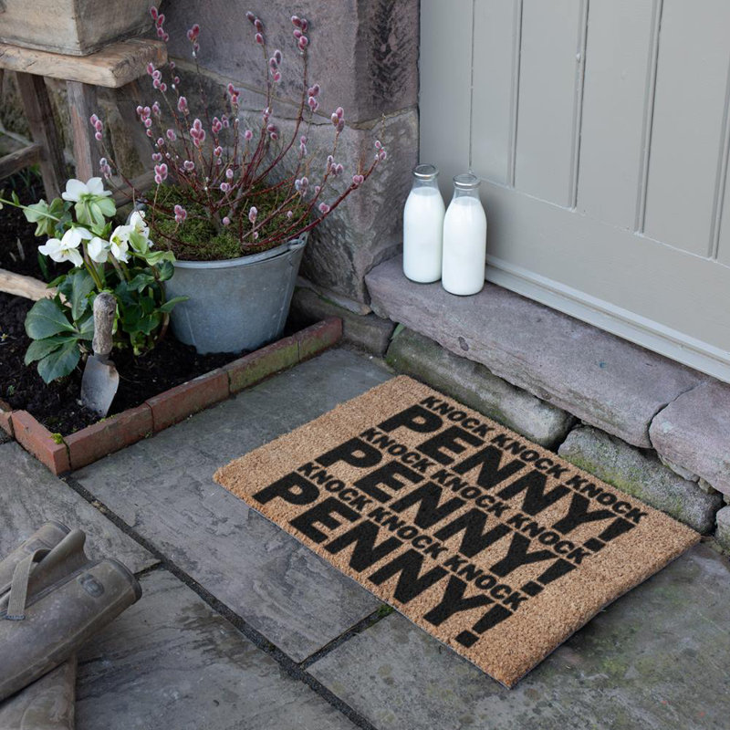 Pagel Knock Penny 40 x 60cm Non-Slip Indoor Outdoor Door Mat