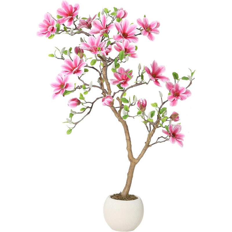 122cm Plant